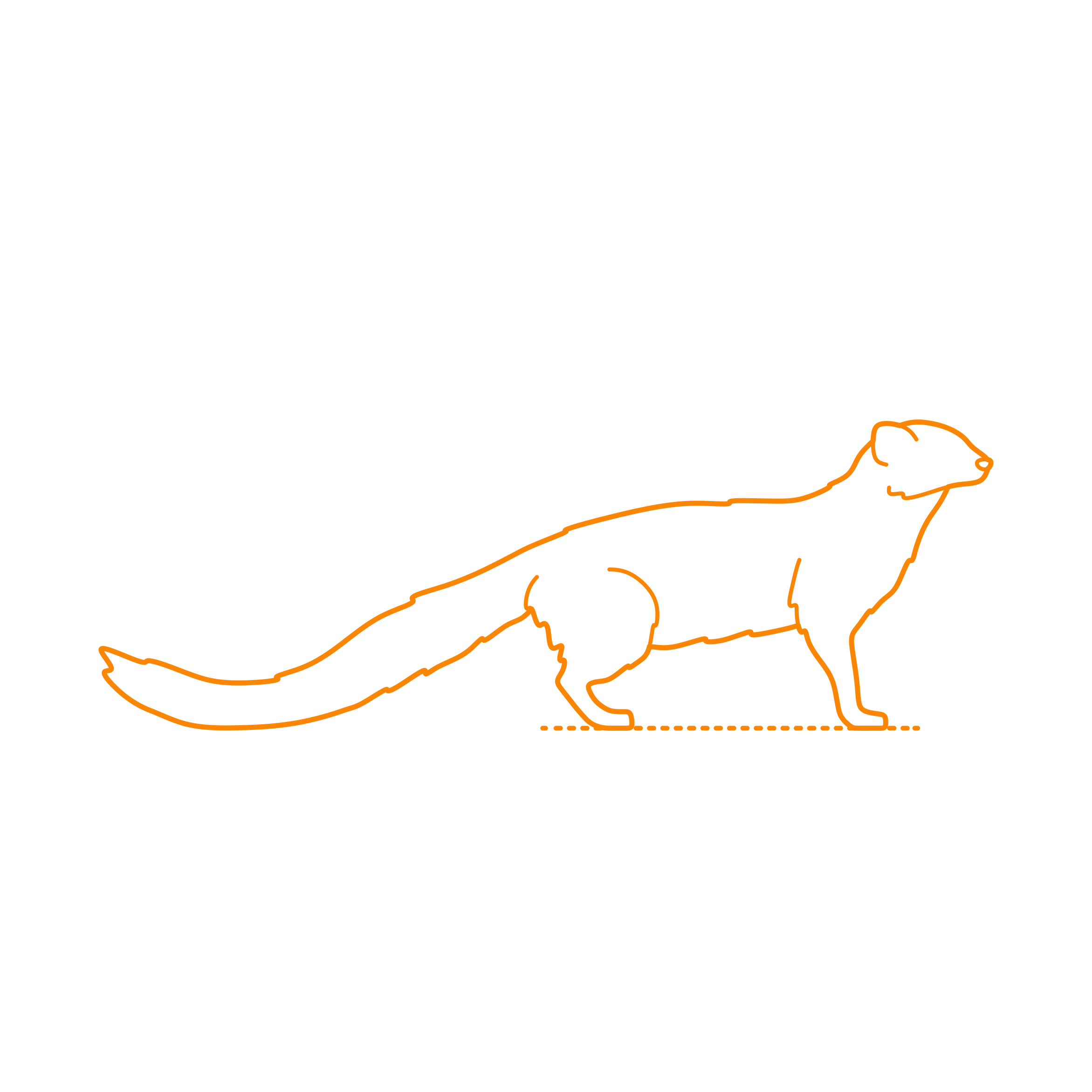 Animals Herpestids Durrells Vontsira Simple Line Art Svg Free Vectors